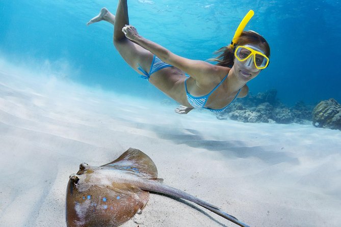 Snorkel & Swim with Turtles. Semi Private Tour to Buck Island & Honeymoon Beach - Beer O’Clock After Snorkeling: The Included On-Board Break
