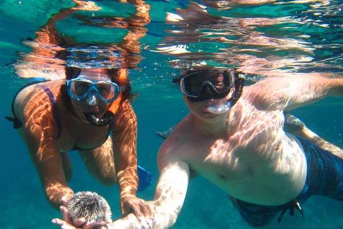 Snorkel Tour - Key Points Before You Go