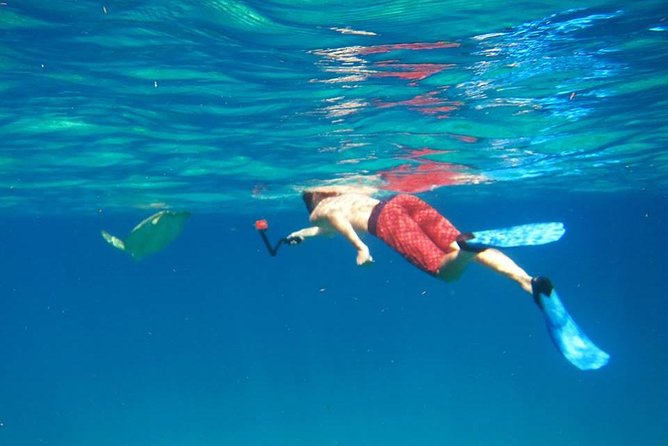 Snorkel Tour - Getting Oriented at Secret Harbour Beach Resort (8:30 am Start)