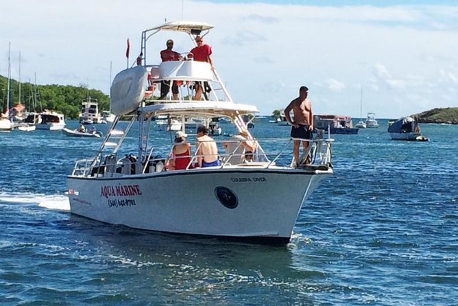 Snorkeling Adventure in St Thomas - Aqua Marine, Saga Haven Marina, and the Boat Ride Setup
