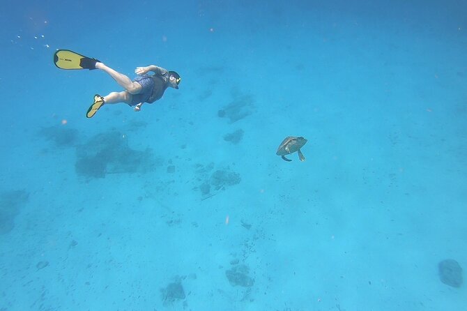 Snorkeling Gear Rental - Frederiksted Delivery That Saves Your Vacation Energy