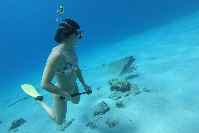 Snorkeling Gear Rental - Self-Guided Ocean Time, Without the Tour Trap