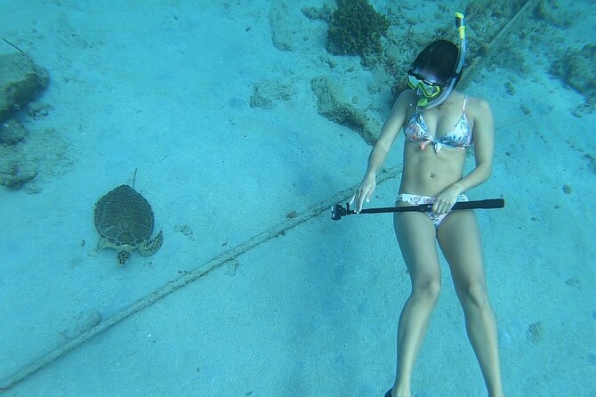 Snorkeling Gear Rental - Weather Matters More Than Your Schedule (Plan for a Shift)