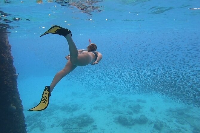 Snorkeling Gear Rental - The Gear Kit: Mask, Dry Snorkel, and Fins That Actually Fit