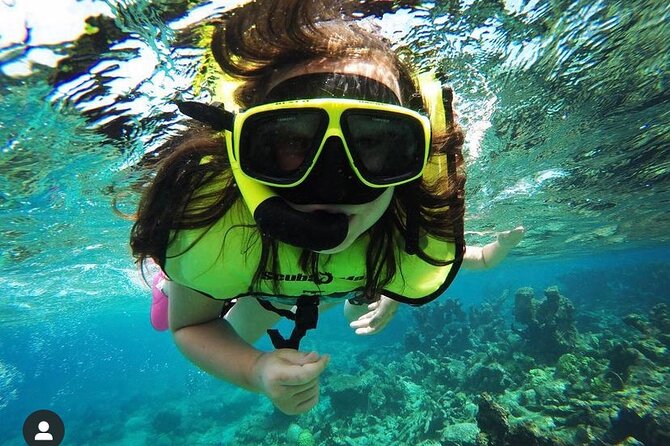 Snorkeling with Sea Turtles - Snorkeling for hawksbill and green sea turtles, without the stress