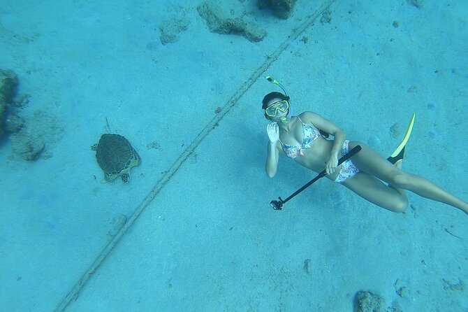 Snorkeling with Sea Turtles - Food, shade, and the small comforts that make the day easier