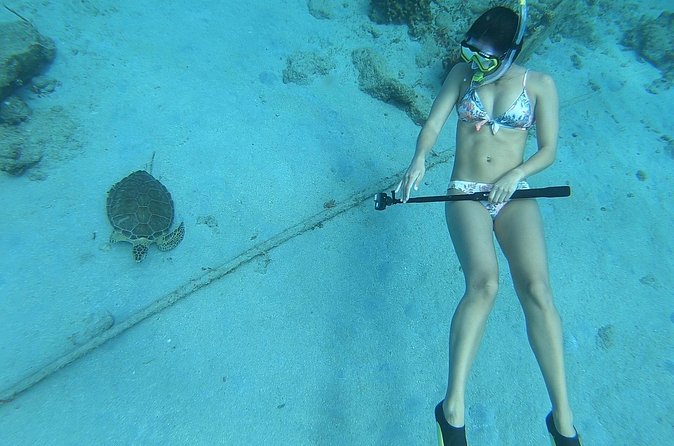Snorkeling with Sea Turtles - Guides and group size: why it feels safe and casual