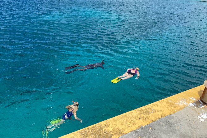 Snorkeling with Sea Turtles - Price and value: what $65 really buys you