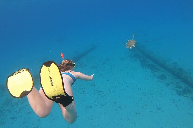 Snorkeling with Sea Turtles - Day-of logistics to keep expectations straight