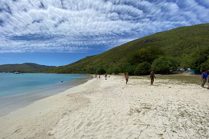 Snorkeling with Sea Turtles at St. Thomas - Price and value: is $79 a fair deal?