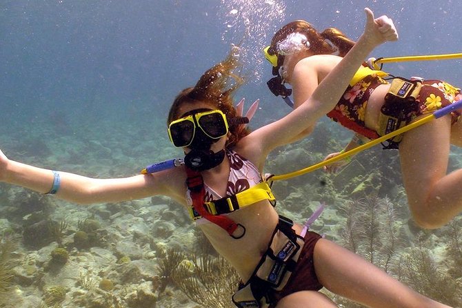 Snuba Adventure at Coral World Ocean Park - Coral World Ocean Park at Coki Point: the practical reason it works