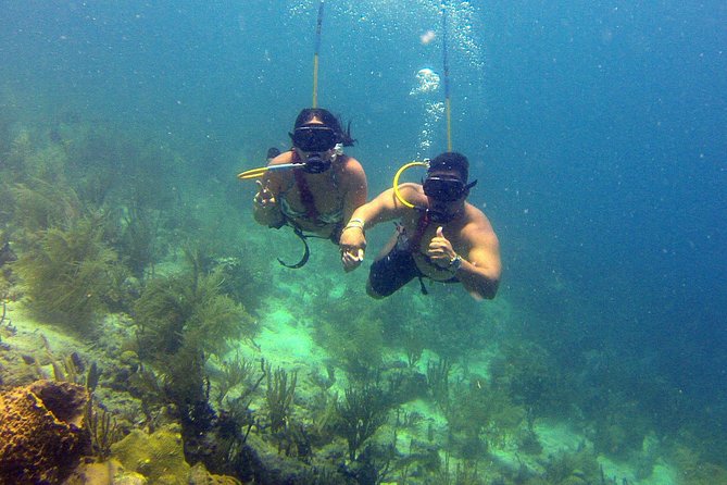 Snuba Adventure at Coral World Ocean Park - Safety and Comfort: why the small group matters more than you think