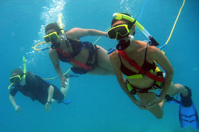 Snuba Adventure at Coral World Ocean Park - Getting More Value: using your included Coral World Ocean Park admission