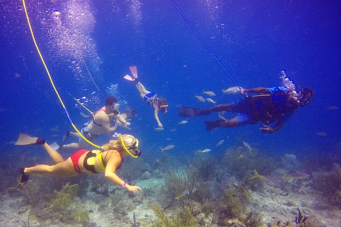 Snuba Adventure at Coral World Ocean Park - Who This Snuba Experience Fits Best