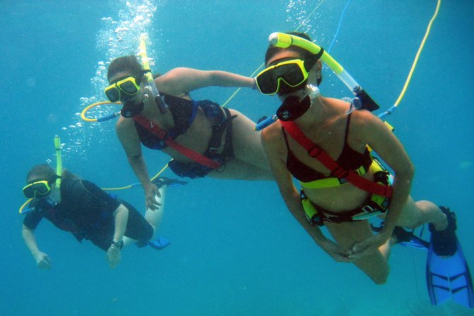 Snuba Adventure at Coral World Ocean Park - Common Expectations, Straight Talk