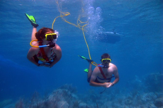 Snuba Adventure at Coral World Ocean Park - The 30-Minute Reef Session: what your underwater time feels like