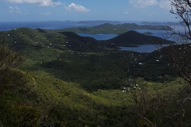 St John Island Sightseeing Tour - The pacing, the van setup, and who this fits best