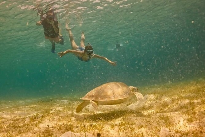 St John -Jeep Ride with A Guide! Customize Itinerary Your Way! - Maho Bay Beach: Snorkeling, Swimming, and a Beer or Seltzer Moment