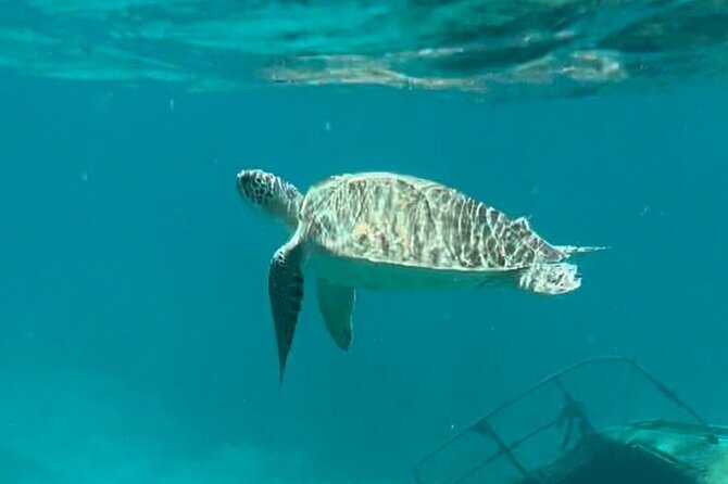 St John -Jeep Ride with A Guide! Customize Itinerary Your Way! - Virgin Islands National Park: Sea Turtles and Remote Beach Time