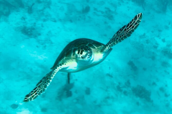 St. John Luxury Catamaran Turtle Snorkel and Cays Full Day - Itinerary reality check: how the timing works in your favor