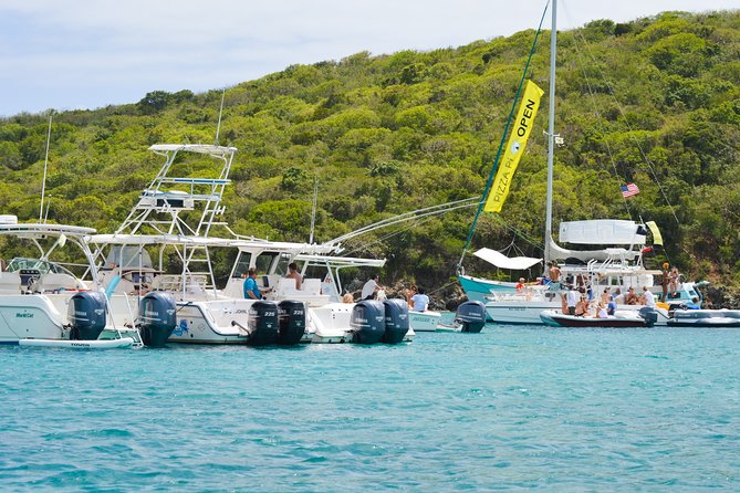 St. John PiZZA Pi Snorkel Sail with Beach Stop, Lunch & Open Bar - Westin - Snorkeling around St. John: what you can expect at the water stops
