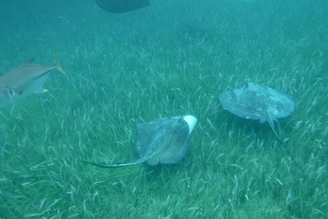 St John & Surrounding Cays - Full-Day Sail/Snorkel, 6 Guests Max - Timing and Pace: What a 9:00 am Start Means for You