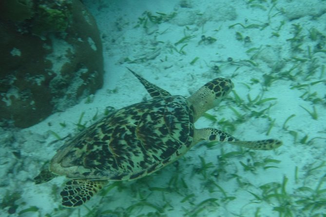 St John & Surrounding Cays - Full-Day Sail/Snorkel, 6 Guests Max - What to Pack for St Thomas to St John Day Sailing