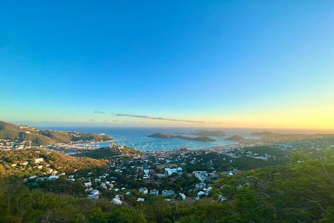 St. Thomas Cultural Experience: Semi-Private, Lunch Included - Stop 1: Main Street for Local Finds, Crafts, and Rum Options