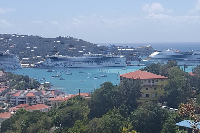 St Thomas Half Day Private Tour (1-10 ppl) - What this private half-day tour does well (and why it feels worth it)