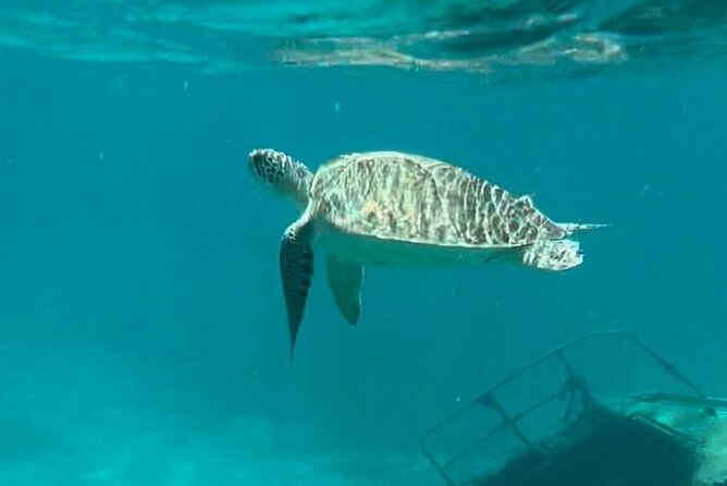 St Thomas - Jeep Tour Customized Itinerary 5hrs - Secret Harbor Beach and Snorkeling Time You Actually Get