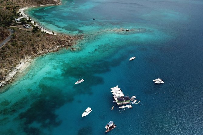 St. Thomas Lime Out Snorkel with Taco Bar Lunch & Swim-Up Bar - Ritz-Carlton - Swim-Up Bar Time: Open Bar After Snorkeling and How to Enjoy It