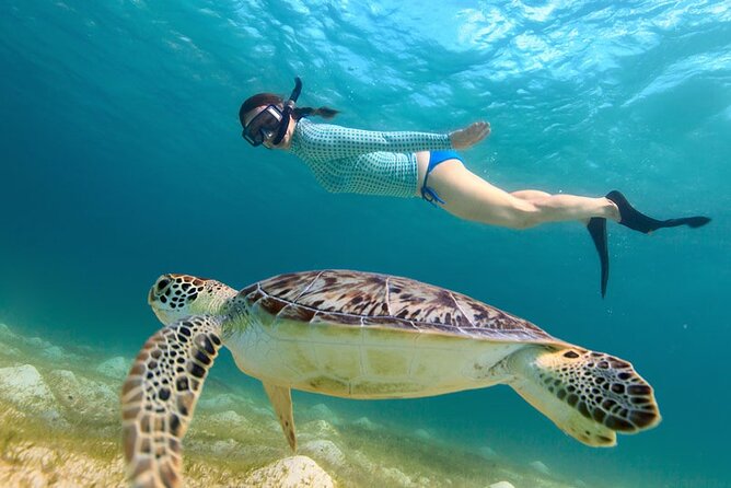 St. Thomas Maho Bay Turtle Snorkel Sail - Ritz-Carlton - Your Maho Bay turtle snorkel stop, green and hawksbill season vibes