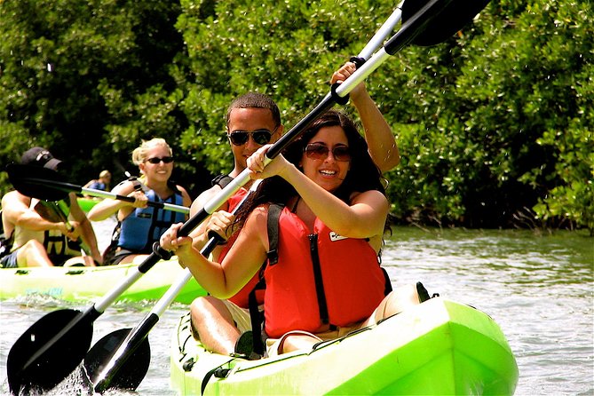 St Thomas Mangrove Lagoon Kayak and Snorkel Tour in the US Virgin Islands - Key Things You’ll Notice on This Mangrove Lagoon Tour