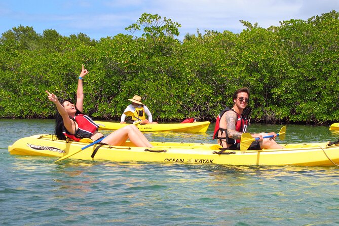 St Thomas Mangrove Lagoon Kayak and Snorkel Tour in the US Virgin Islands - Where the Tour Starts in St Thomas