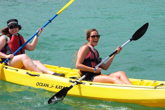 St Thomas Mangrove Lagoon Kayak and Snorkel Tour in the US Virgin Islands - Snorkeling Around Mangrove Roots: What You’ll See and What Can Affect It