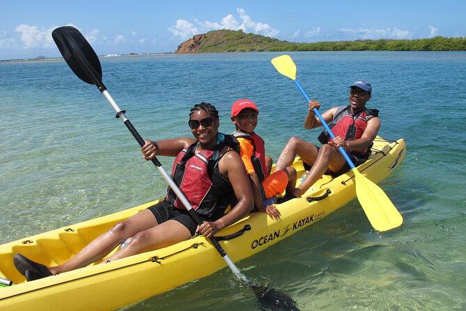 St Thomas Mangrove Lagoon Kayak and Snorkel Tour in the US Virgin Islands - Wildlife Highlights: More Than Just Stingrays