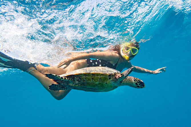 St Thomas Mangrove Lagoon Kayak and Snorkel Tour in the US Virgin Islands - Who This Tour Fits Best (and Who Should Pass)
