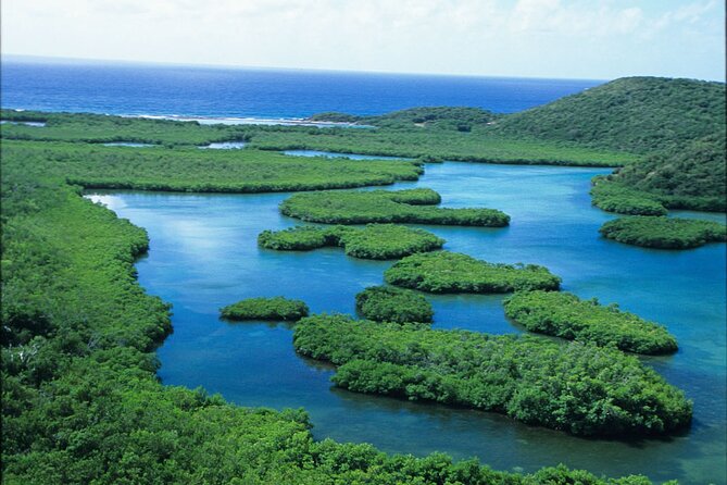 St Thomas Mangrove Lagoon Kayak and Snorkel Tour in the US Virgin Islands - Gear, Comfort, and Smart Packing Tips