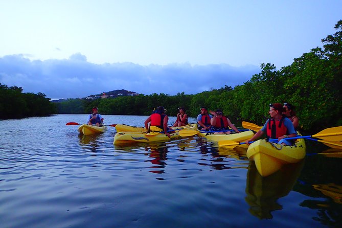 St Thomas Night Kayak Tour - Key things to know before you paddle
