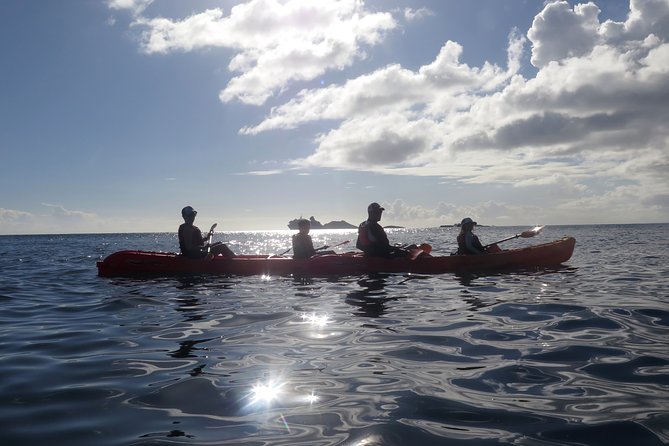 St Thomas Sea Turtle Snorkel Kayak Adventure Tour - Snorkeling in the turtle bay: what you should expect underwater