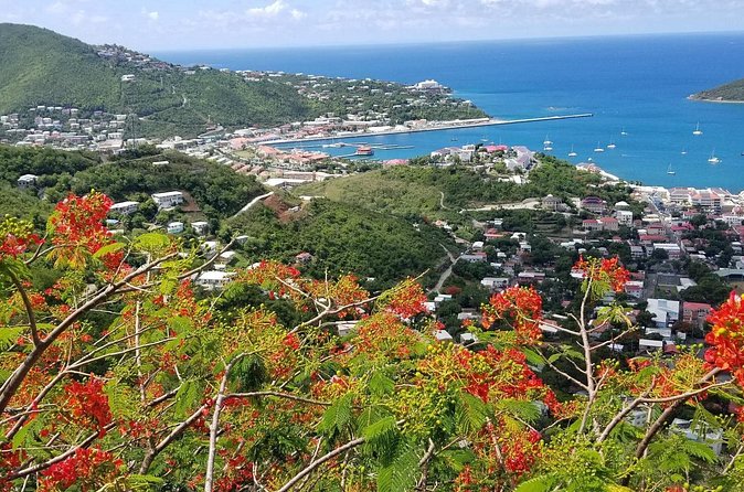 St. Thomas Shopping And Sightseeing Tour - The Small-Group Feel, Coach Comfort, And Why Your Guide Matters