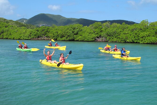 St Thomas Shore Excursion: Mangrove Lagoon Kayak and Snorkel Tour - At a Glance: Key Reasons I’d Pick This Tour