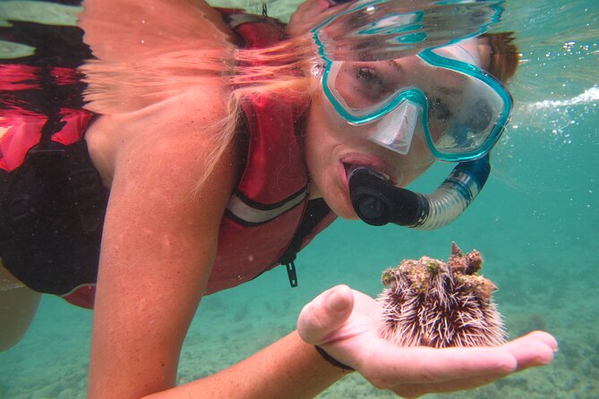St Thomas Shore Excursion: Mangrove Lagoon Kayak and Snorkel Tour - Why This Mangrove Lagoon Kayak Works for a Short St Thomas Port Day