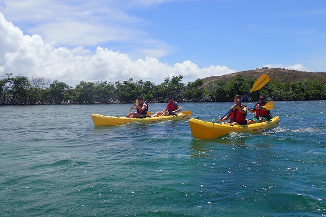 St Thomas Shore Excursion: Mangrove Lagoon Kayak and Snorkel Tour - How Long You’ll Be Gone (And Why That Matters in Cruz Bay)