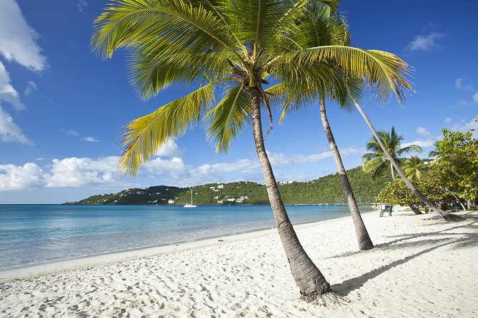 St Thomas Shore Excursion: Shopping, Sightseeing and Beach Tour - How this St. Thomas shore trip balances shopping, views, and beach time