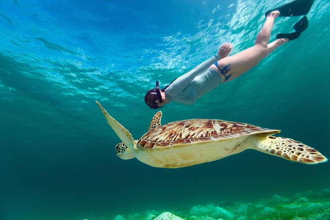 St Thomas~St John Snorkel, Swim & Beach Trip on MV Island Flyer - The 4-hour flow: snorkel, soda and beer, then beach hopping