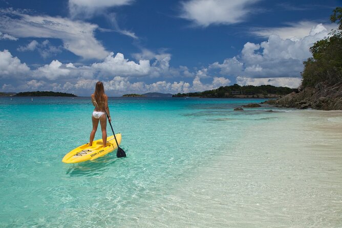 Stand Up Paddleboard Rental in St Thomas - SUP in the Mangrove Lagoon: what your morning feels like