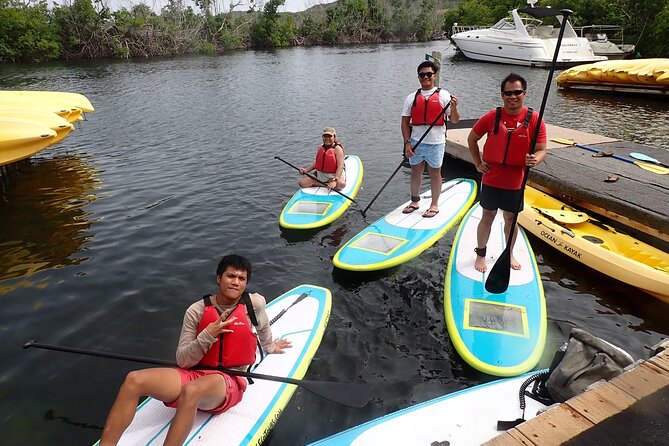Stand Up Paddleboard Rental in St Thomas - Wildlife spotting: what you can notice from a board