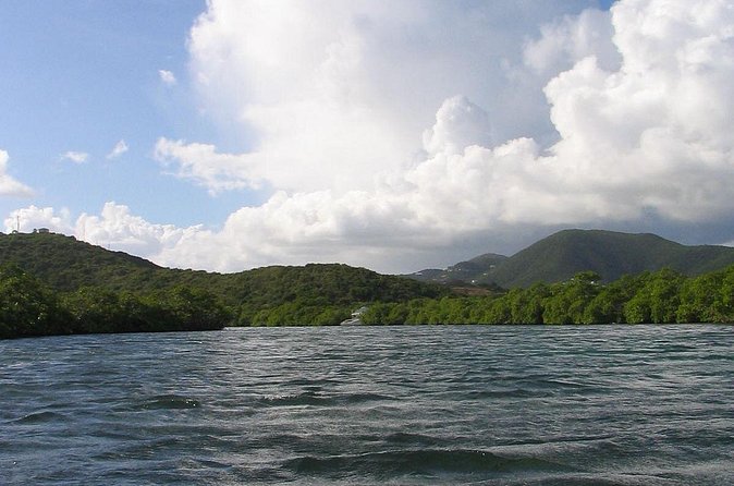 Stand Up Paddleboard Rental in St Thomas - Charlotte Amalie, Mangroves, and the joy of exploring off-script