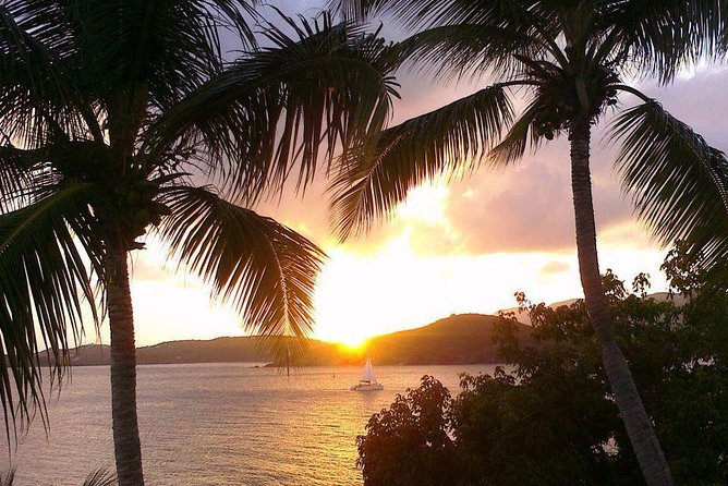 Sunset & Harbor Lights Dinner Sail from the Marriott's Frenchman's Cove - The VI Cat Experience: Catamaran Comfort Without the Circus